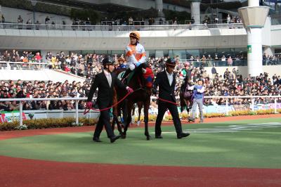 ファイル 364-1.jpg