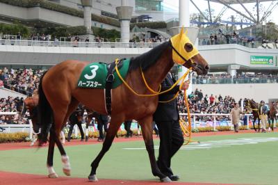 ファイル 364-2.jpg