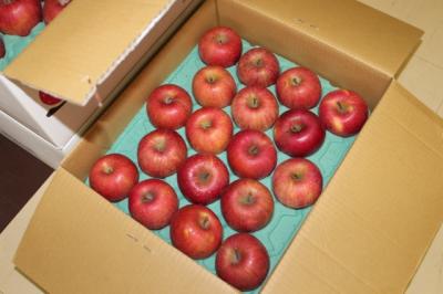 ファイル 367-3.jpg