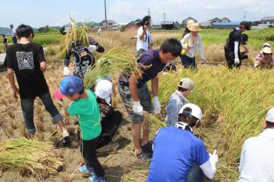 ファイル 443-2.jpg