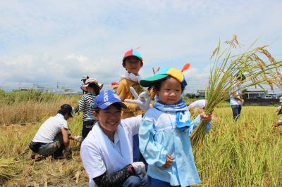 ファイル 443-5.jpg