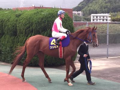 ファイル 520-1.jpeg