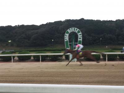 ファイル 520-2.jpeg