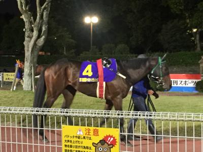 ファイル 527-3.jpeg