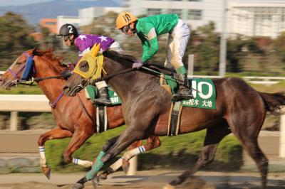 ファイル 529-3.jpg