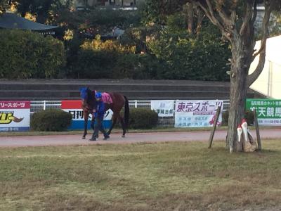 ファイル 535-3.jpeg