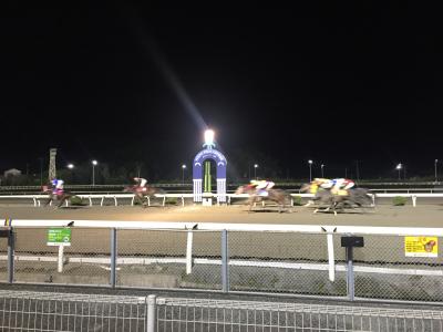 ファイル 536-1.jpeg