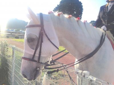 ファイル 540-3.jpeg