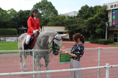 ファイル 540-4.jpeg