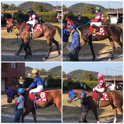 ファイル 552-1.jpeg