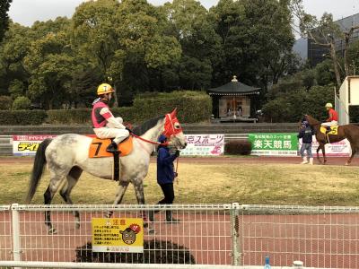 ファイル 553-2.jpeg