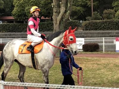 ファイル 553-3.jpeg