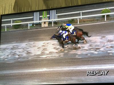 ファイル 556-2.jpeg