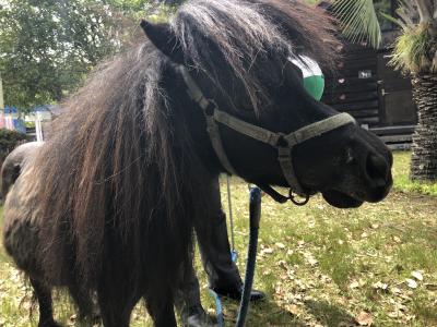 ファイル 566-3.jpeg