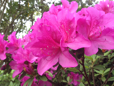 ファイル 257-2.jpg