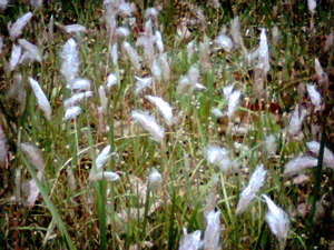 ファイル 261-1.jpg