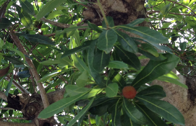 ファイル 261-4.jpg