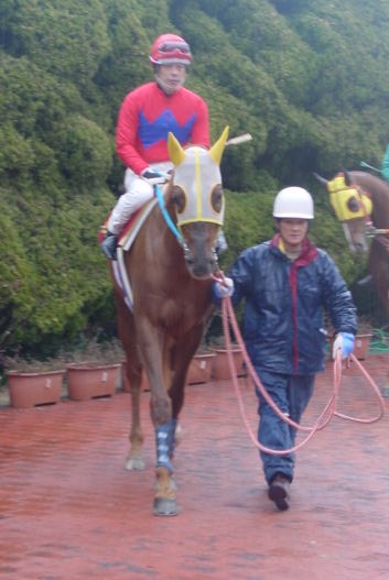 񂯂񂳂񓊍e摜XgOI[@No.02