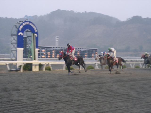 cD^ r쐽炭 No.03