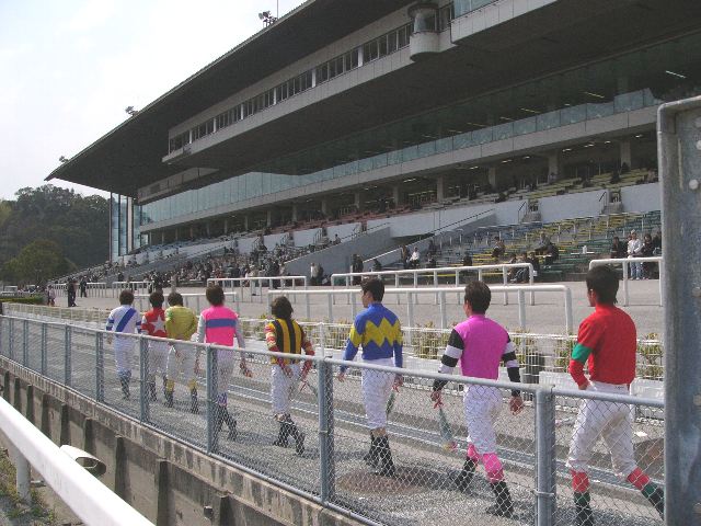 jockey03.jpg