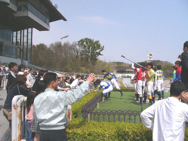 jockey28.jpg