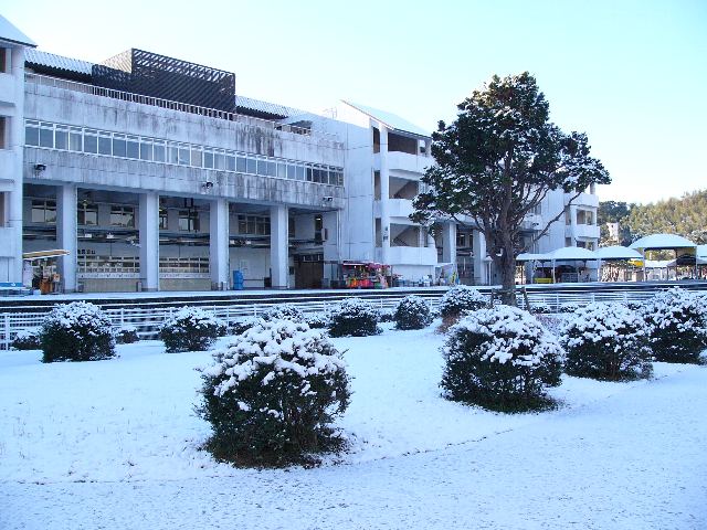 snowyworld07.jpg