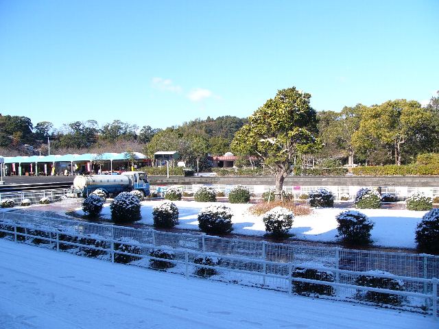 snowyworld70.jpg