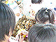 matsuri22_thumb.jpg