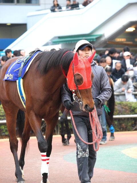 k_kinen12.jpg