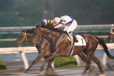 ファイル 1036-1.jpg