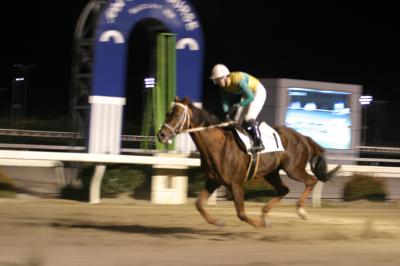 ファイル 2179-1.jpg