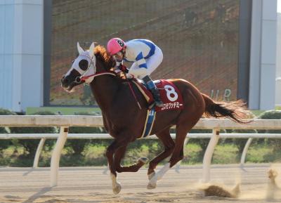 ファイル 2558-1.jpg