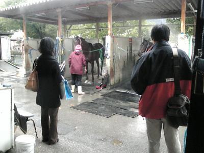 ファイル 266-2.jpg