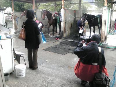 ファイル 266-3.jpg