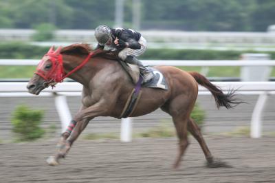 ファイル 3208-1.jpg