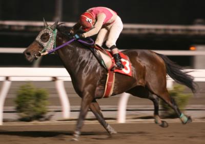 ファイル 3504-1.jpg