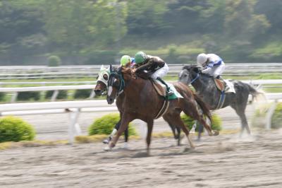 ファイル 362-1.jpg