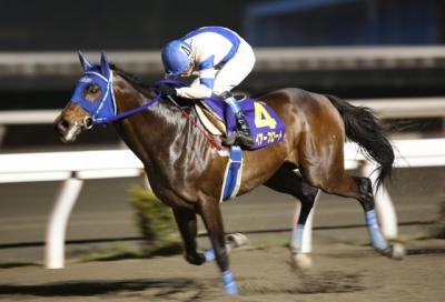 ファイル 3835-3.jpg