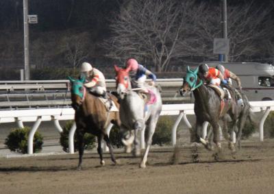 ファイル 3880-1.jpg