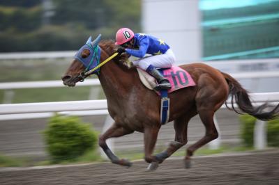 ファイル 4045-1.jpg