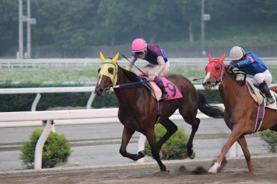 ファイル 4235-1.jpg