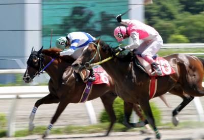 ファイル 437-1.jpg