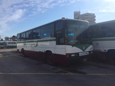 ファイル 4645-1.jpg