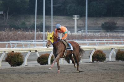 ファイル 4733-1.jpg