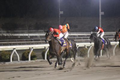 ファイル 4813-1.jpg