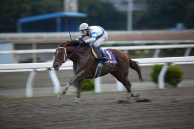 ファイル 4912-1.jpg