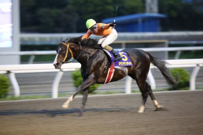 ファイル 4954-1.jpg