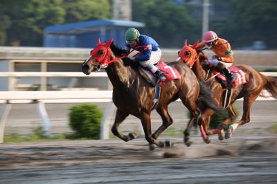 ファイル 4977-1.jpg