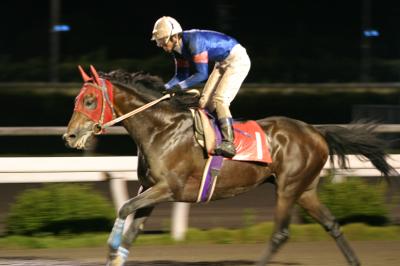 ファイル 502-1.jpg