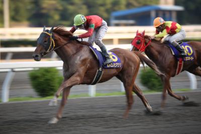 ファイル 5094-1.jpg